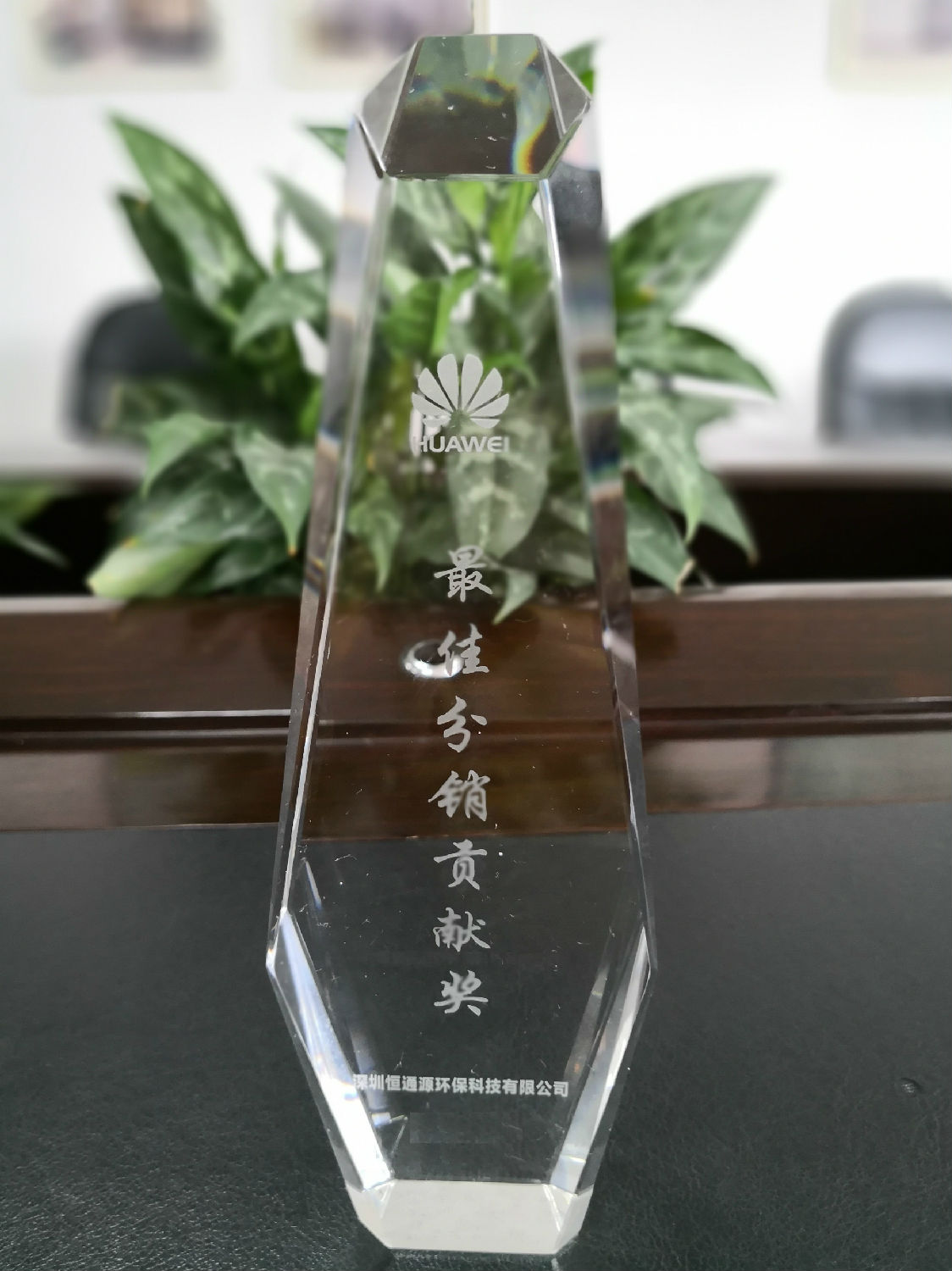 最佳分銷貢獻(xiàn)獎(jiǎng).jpg 最佳分銷貢獻(xiàn)獎(jiǎng).jpg